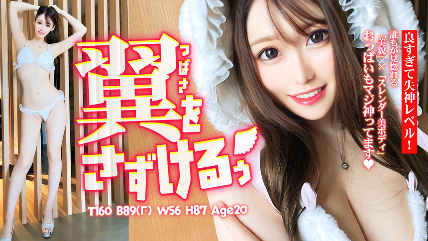 翼をさずけるぅ