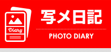 写メ日記